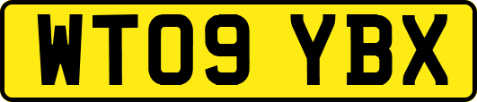 WT09YBX