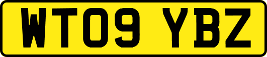 WT09YBZ