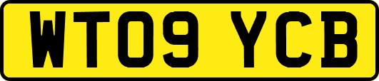 WT09YCB