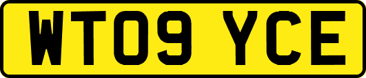 WT09YCE