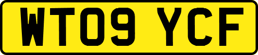 WT09YCF