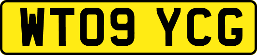 WT09YCG