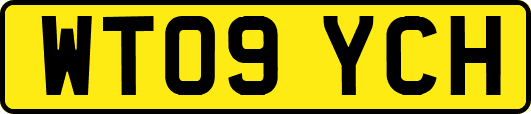WT09YCH