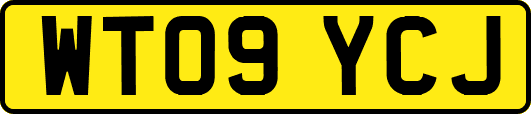 WT09YCJ