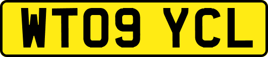 WT09YCL