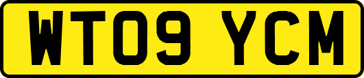 WT09YCM