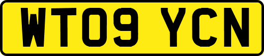 WT09YCN