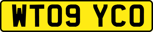 WT09YCO