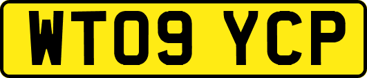 WT09YCP