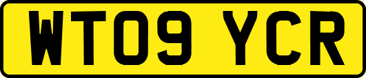 WT09YCR