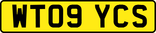 WT09YCS