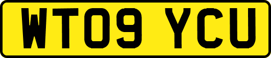 WT09YCU