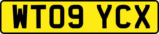 WT09YCX