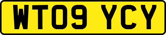 WT09YCY