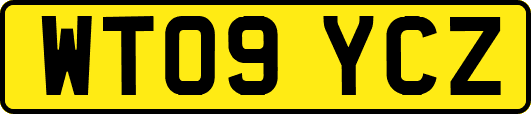 WT09YCZ