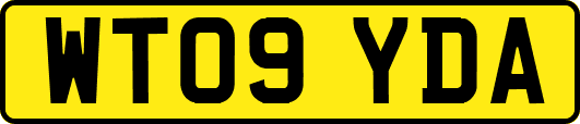 WT09YDA