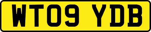 WT09YDB
