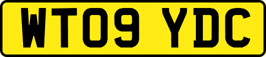 WT09YDC