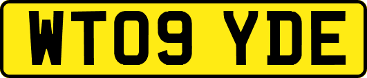 WT09YDE