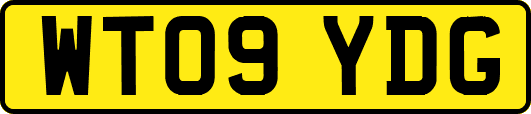 WT09YDG