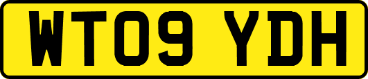 WT09YDH