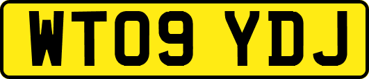 WT09YDJ