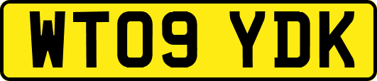 WT09YDK