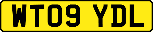 WT09YDL