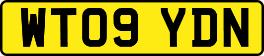 WT09YDN