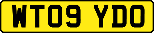 WT09YDO