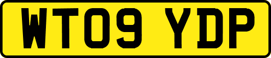 WT09YDP