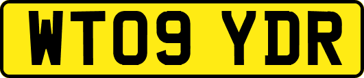 WT09YDR