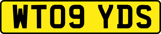 WT09YDS