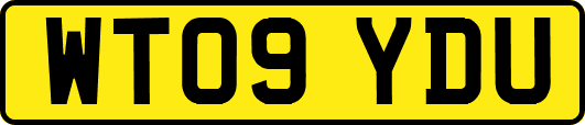 WT09YDU