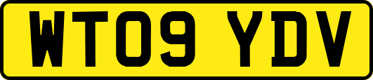 WT09YDV