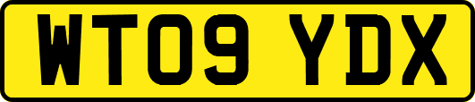 WT09YDX