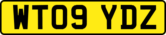 WT09YDZ