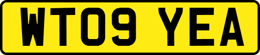 WT09YEA