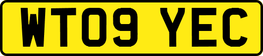 WT09YEC