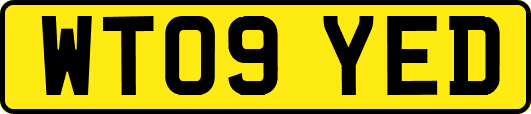 WT09YED