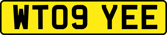 WT09YEE