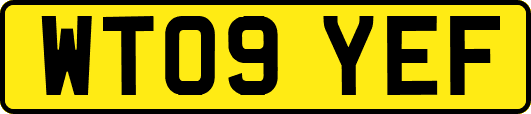 WT09YEF