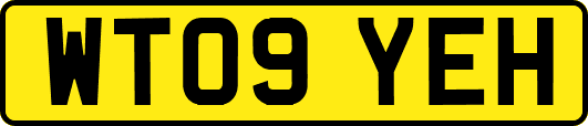 WT09YEH