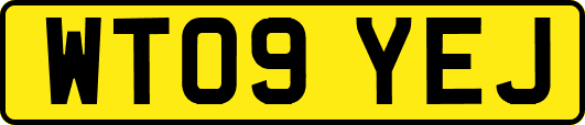WT09YEJ