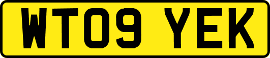 WT09YEK