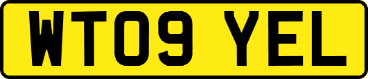 WT09YEL