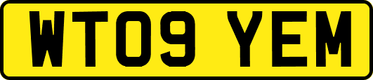 WT09YEM