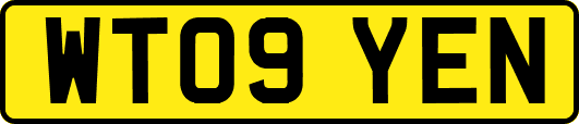 WT09YEN