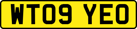WT09YEO
