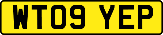 WT09YEP